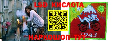 индика Заводоуковск