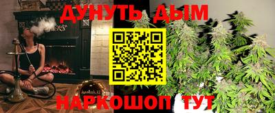 индика Заводоуковск