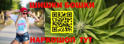 индика Заводоуковск