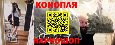индика Заводоуковск