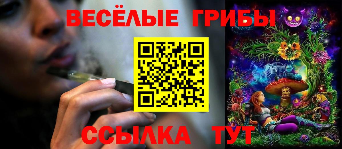 Галлюциногенные грибы Magic Shrooms  Вход с VPN  Избербаш  Галлюциногенные грибы мицелий 