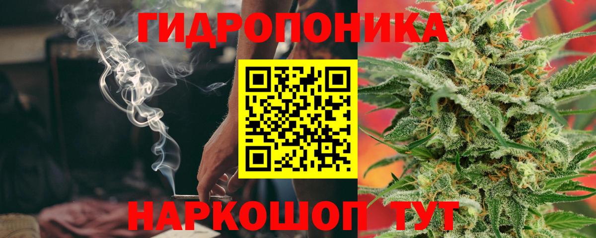 Марихуана сатива Избербаш